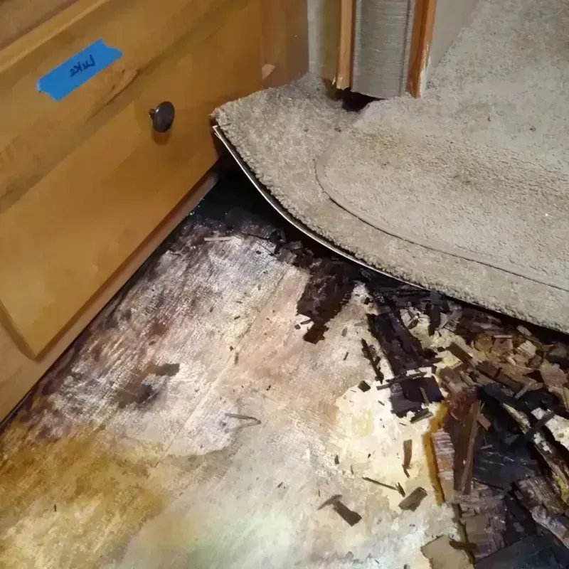 Wood Floor Water Damage in Lusby, MD